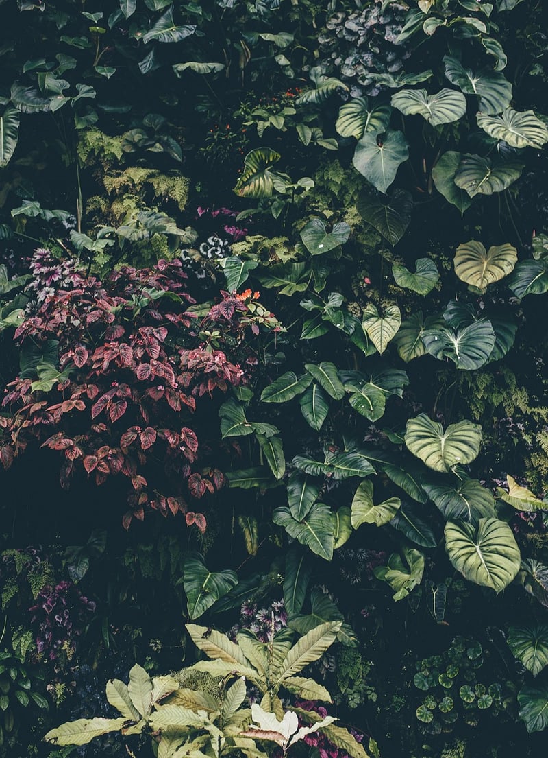 Botanical Gardens